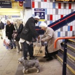 Little thing for you, big difference for her!